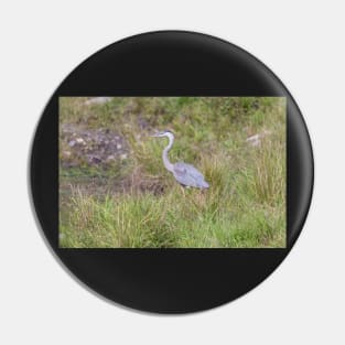 A lone Great Blue Heron Pin