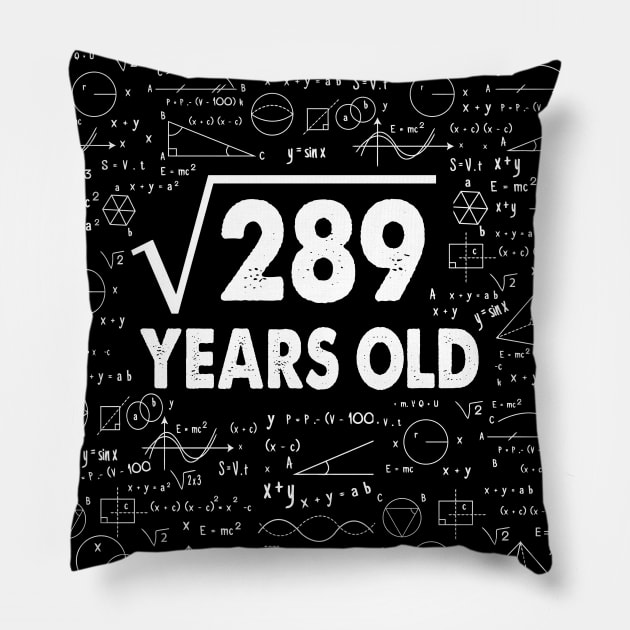 17 years old 17th birthday Gift Square Root of 289 Science Lover Gifts Bday Pillow by smtworld