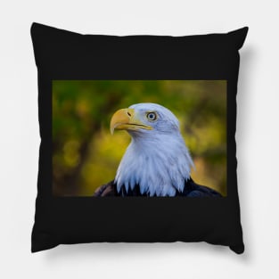 Autumn Eagle Pillow