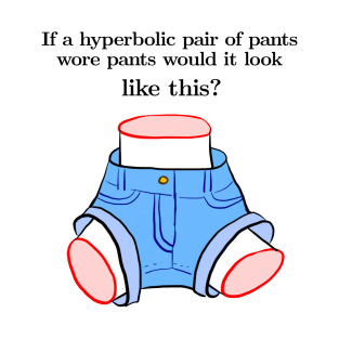 If a hyperbolic pair of pants wore pants... T-Shirt