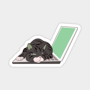 cat sleeping on laptop Magnet