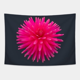 Red Spikes Dahlia Flower Photo Cutout Tapestry