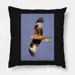 Soaring Red Kite Pillow