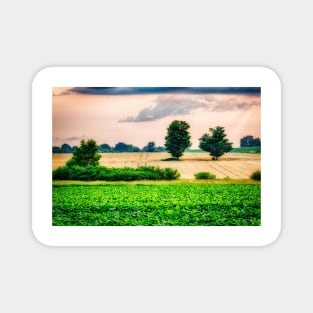 Two Trees In Wheat Field 1 Magnet