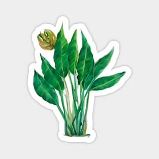 Green Tropical Leaves Art work, for Plant lovers Magnet