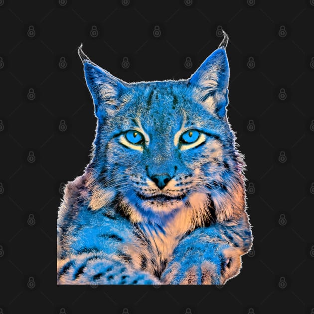 The lynx cat art a wild cat by UMF - Fwo Faces Frog