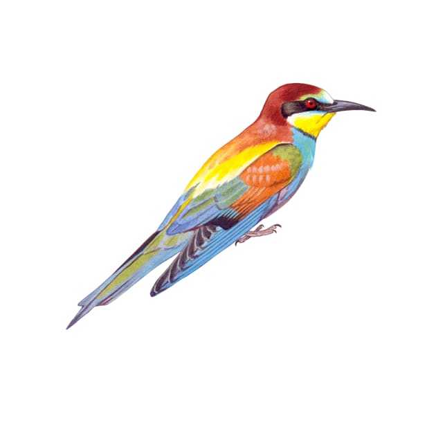 European Bee-eater by kokayart