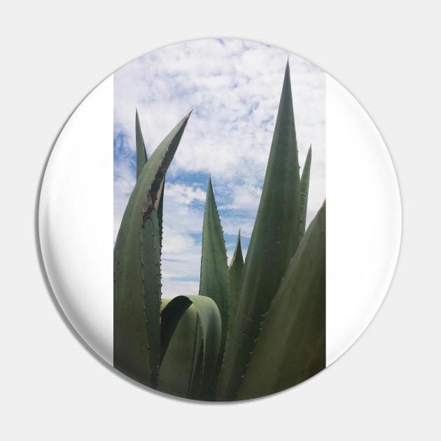 Agave Clouds Pin by BlakCircleGirl