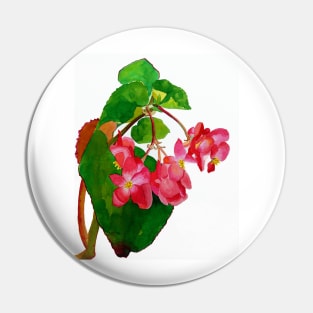 Begonia Pin