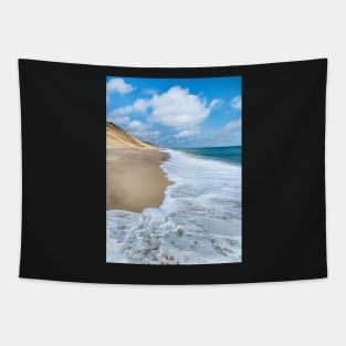 The Cape Cod National Seashore Tapestry