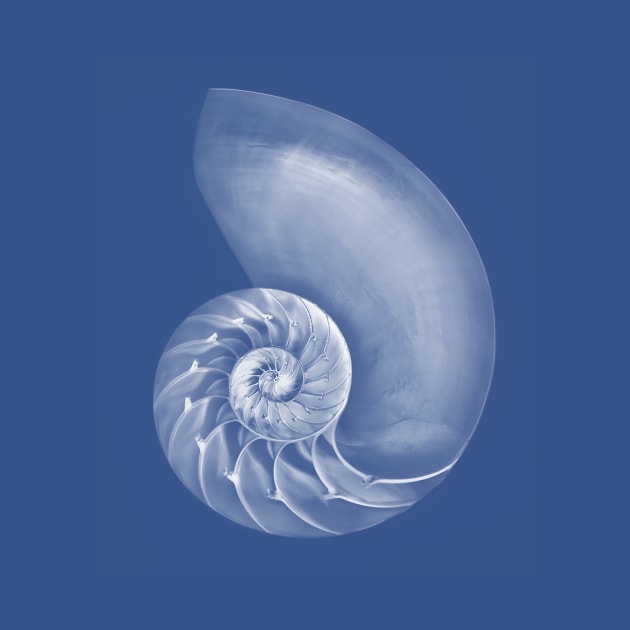 Nautilus by kipstewart