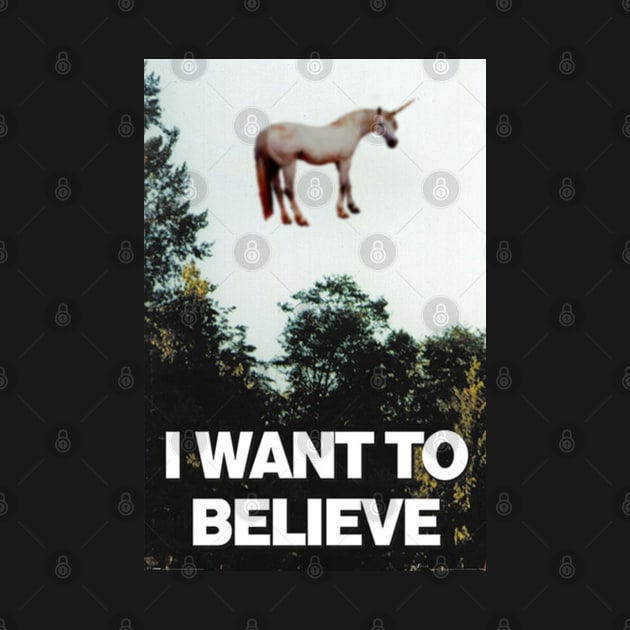 I want to Bealieve... In unicorns by jonah block