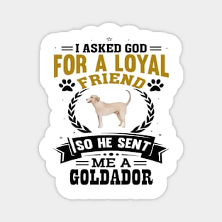 I asked God for a loyal friend He sent me a Goldador dog Magnet