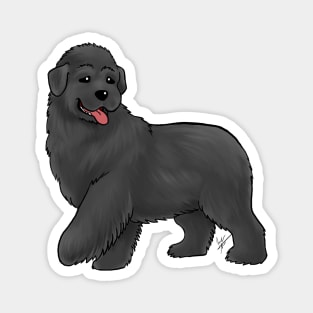 Dog - Newfoundland - Black Magnet