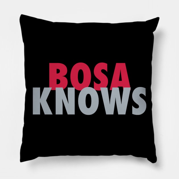 Bosa Knows Pillow by StadiumSquad