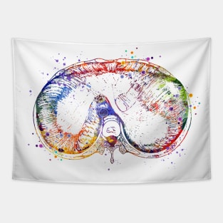 Thoracic Diaphragm Watercolor Medical Gift Tapestry