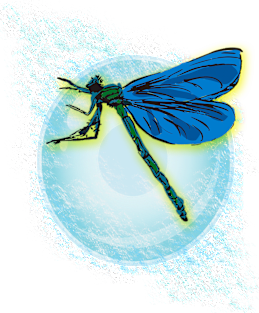 Dragonflies insects graphic desing Magnet