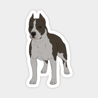 American Staffordshire Terrier Dog Magnet