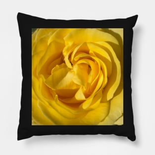 Yellow Rose of Texas Pillow