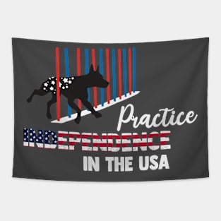 Practice INDEPENDENCE in the USA Tapestry