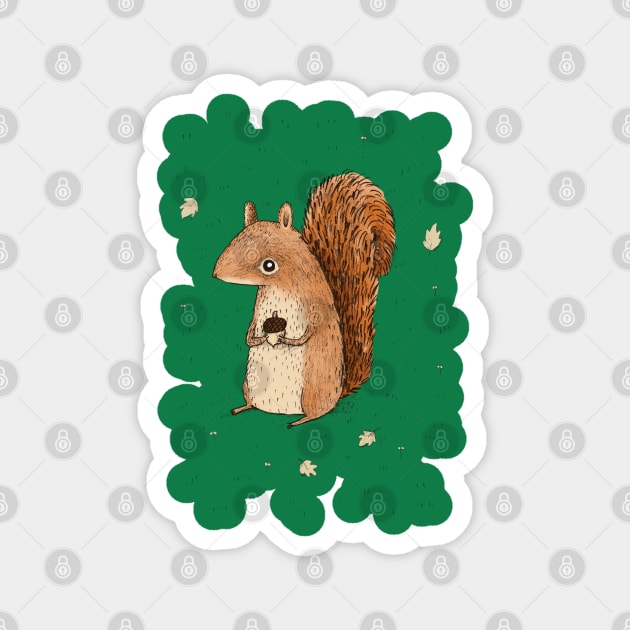 Sarah the Squirrel Magnet by Sophie Corrigan