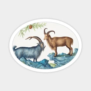 Wild Goat and a Barbary Sheep (1575–1580) Magnet