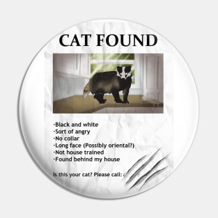 Cat Found Poster (Badger) Pin