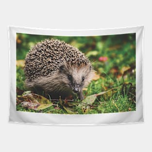 Hedgehog Tapestry