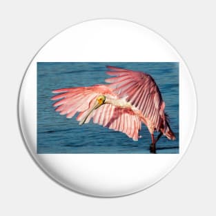 Roseate spoonbill Pin