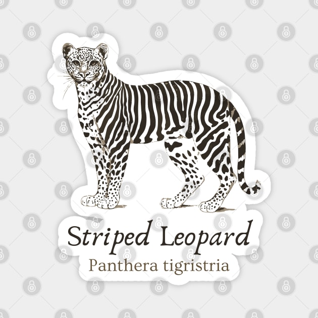 Striped Leopard - Cryptozoology - Retro & Fun Magnet by TuncGK
