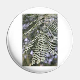 Leaves photo Pin