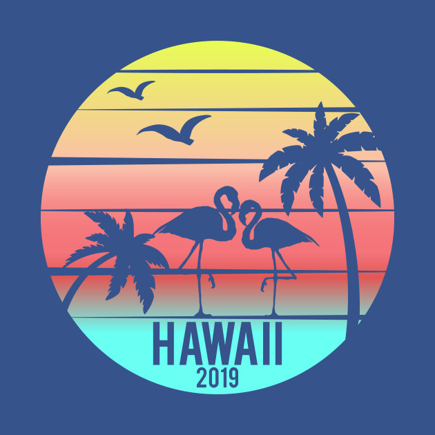 Disover Hawaii Family Vacation 2019 Souvenir - Hawaii 2019 - T-Shirt