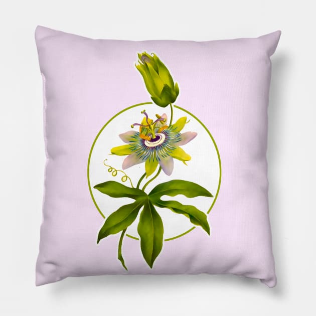 Passion fruit flower Pillow by Marccelus