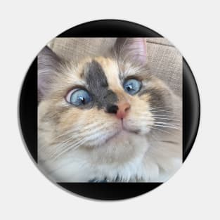 Doubles the Crosseyed Cat Pin