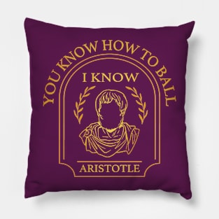 You Know How to Ball I Know Aristotle Pillow