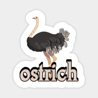ostrich tshirt design Magnet