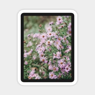 Joyful Little Flowers Magnet