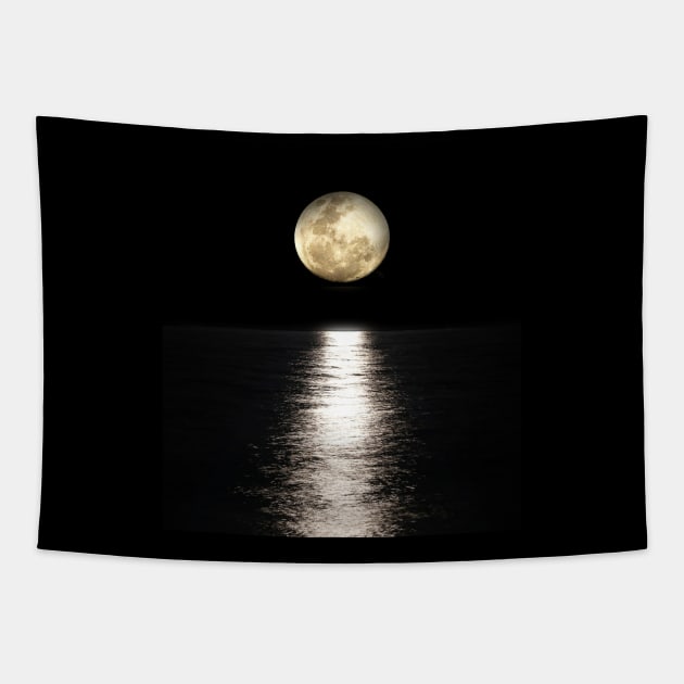 moon ocean calm view Tapestry by tedd