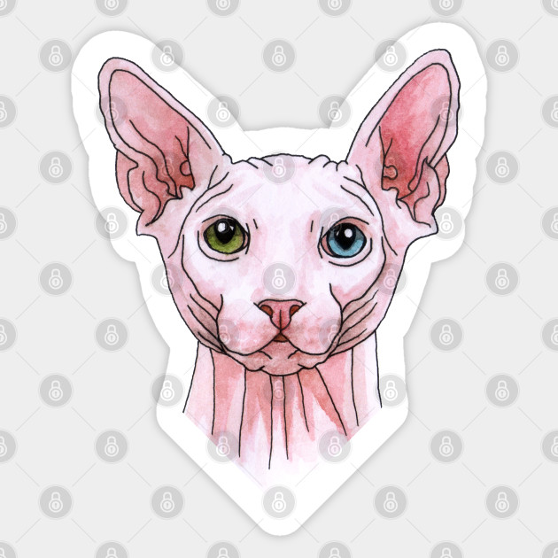 Sphynx Cat Portrait Sphynx Sticker Teepublic