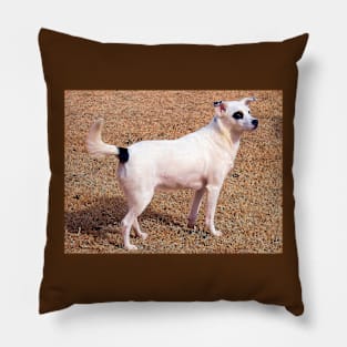 Stunning Black Patch over the eye pup Pillow