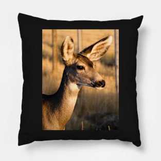 Young Mule Deer Pillow