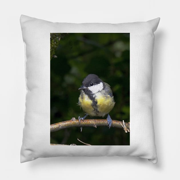 LE PANASONIC FZ 200 PAR OKAIO CRÉATION Pillow by caillaudolivier