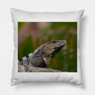 Iguana Pillow