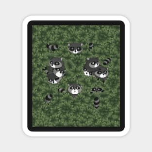 Raccoon Family in the Trees Magnet