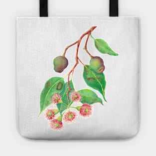 Red flowering gum watercolour Tote