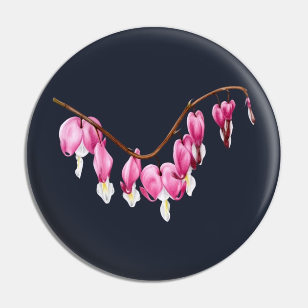 Bleeding heart flower / Lamprocapnos spectabilis Pin by alexgraybergh