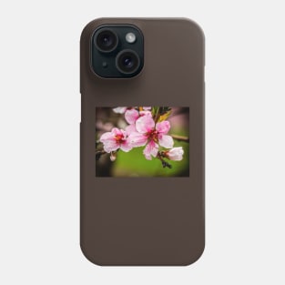 Peach Blossoms Phone Case