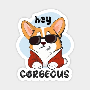 Cool corgi dog with sunglasses saying hey corgeous Magnet