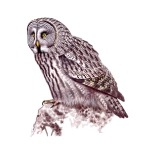 Great Grey Owl T-Shirt