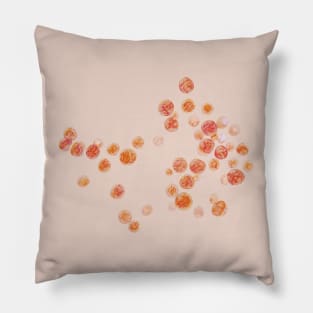 Dunaliella salina Pillow